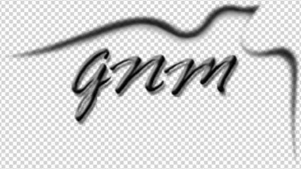 Name Of Designar - Gnm
