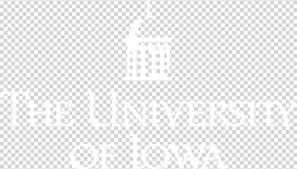 The University Of Iowa Logo - Evidence-based Practice In Action: Comprehensive Strategies,