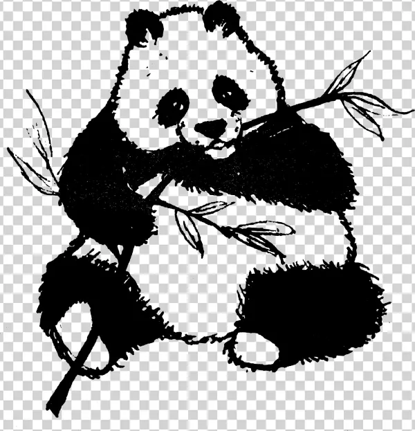 This Free Icons Png Design Of Found Panda Chewing On
