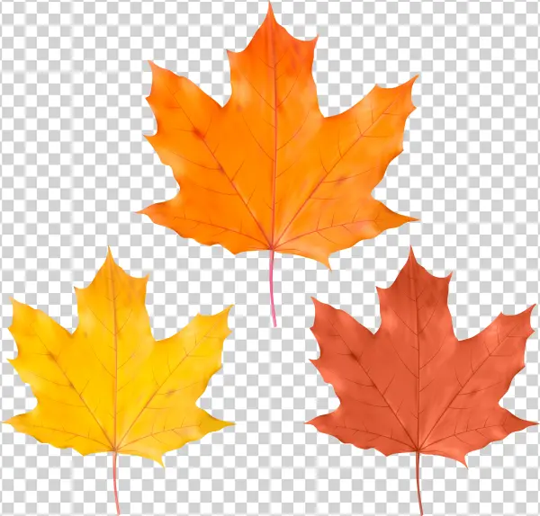Yellow Leaf Png