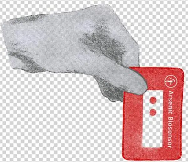 Arsenic Biosensor