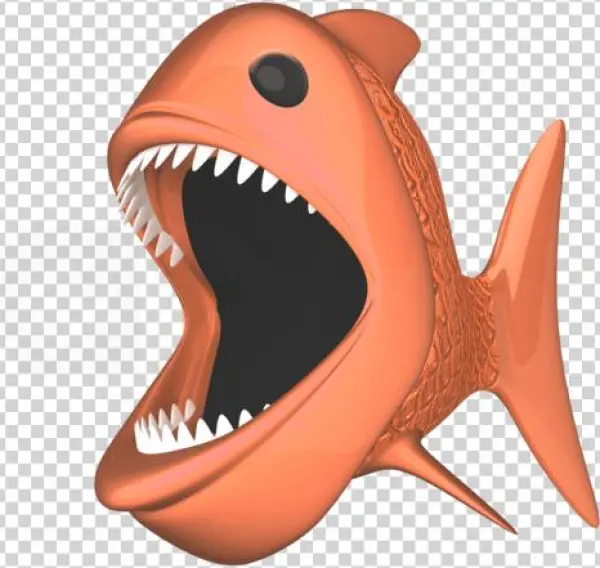 Carcharhiniformes