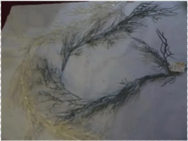 Guirnalda Pino - Visual Arts