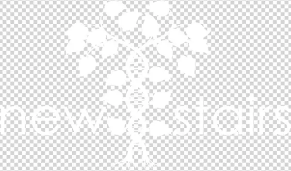 Newstairs White - Copy - Ps4 Logo White Transparent