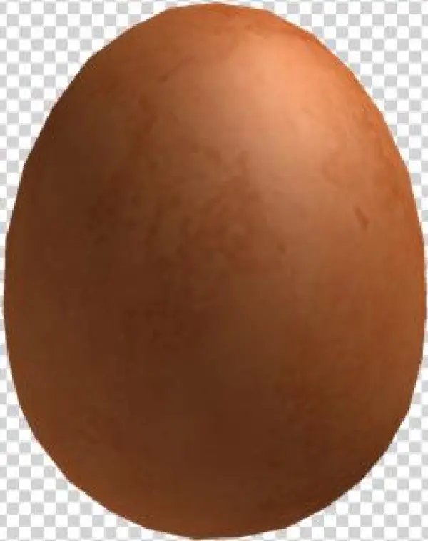 Organic Egg - Chocolate