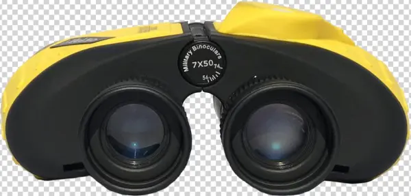 Rangefinder/compass Binoculars