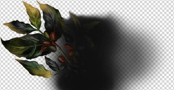 The Spirit Of Coffee - Macro Photography