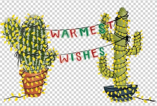 Warmest Wishes