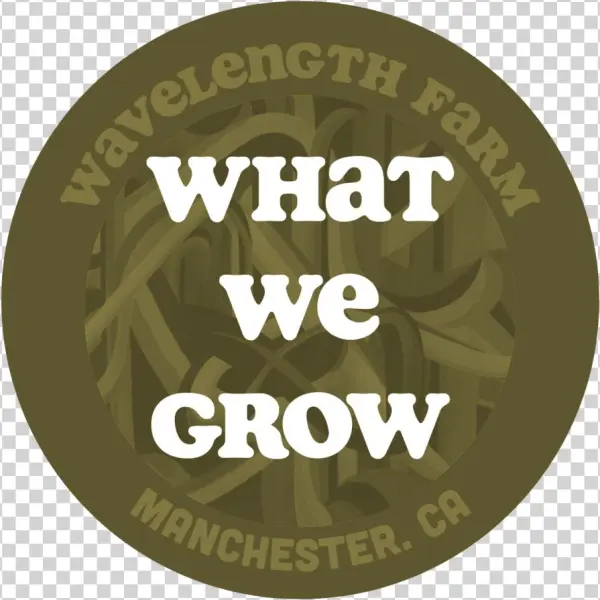 What We Grow - Hillary