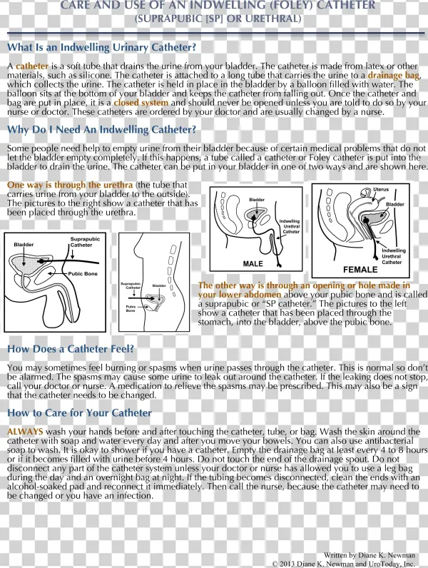 Careofaniuc4-2 - Document