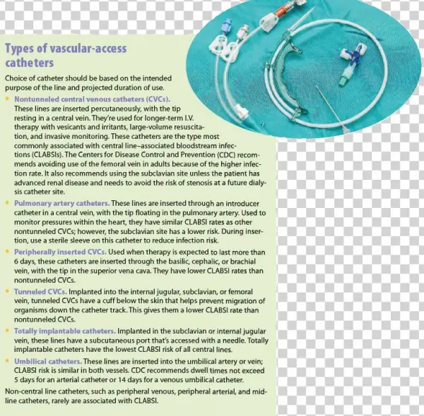 Evidence-based Guidelines For Clabsi Reduction - Untitled, Tailpiece, Pg. 27, In The Book Dingo By Octave