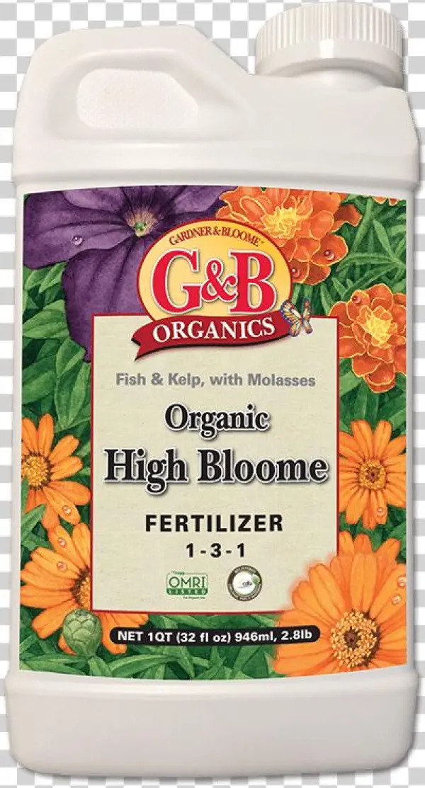 Gbo High Bloom