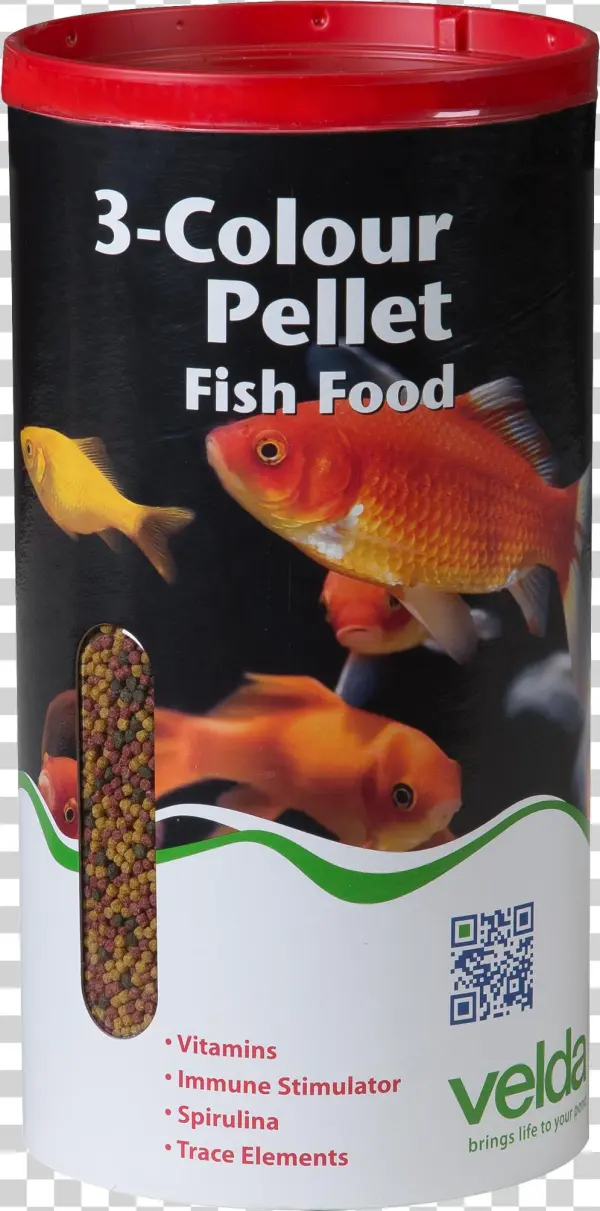 Goldfish Png