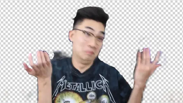 Report Abuse - Ricegum