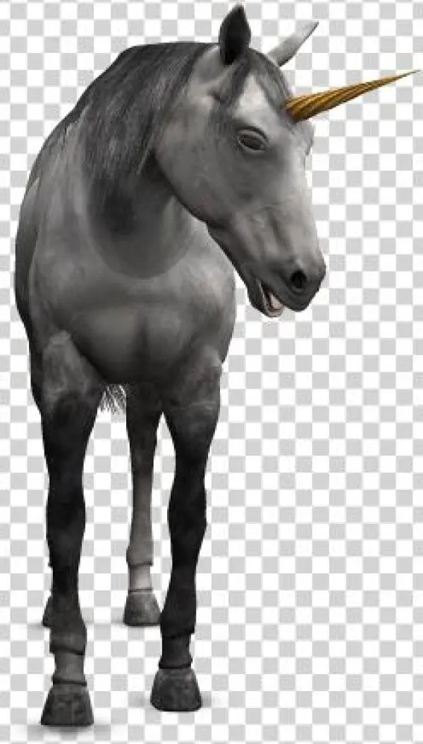 Requeriments - Stallion