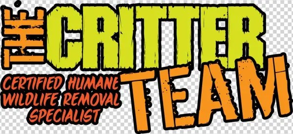 The Critter Team