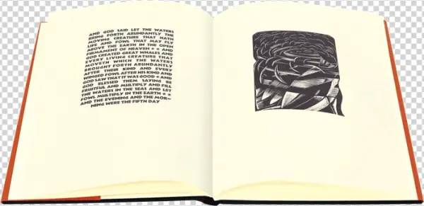 The Dry Land Appearing - "the Fish And The Fowl," Illustration Ix, Ndon): The