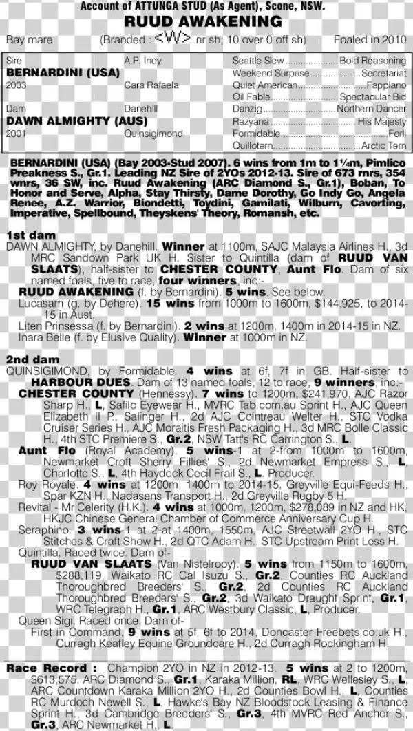2015 National Sales Mm Ruud Awakening - Document