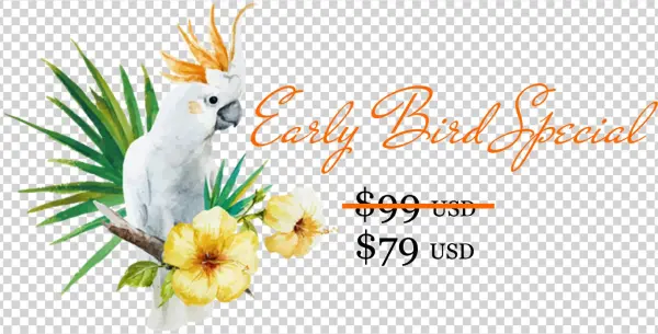Be Sure To Check Back Tomorrow When I'll Release The - Parrots Decor Shower Curtain Set By Ambesonne, Hibiscus