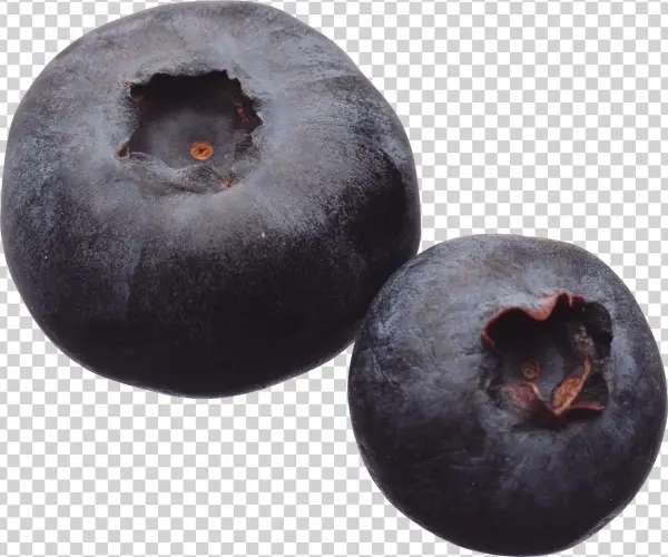Blueberry Png