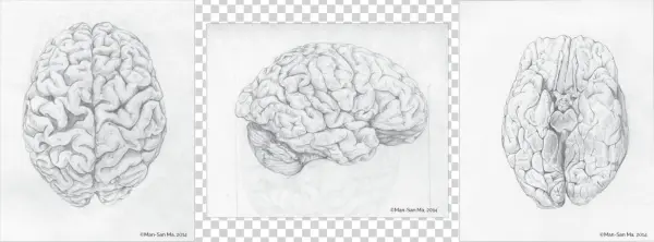 Brainprocess - Sketch