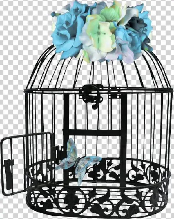 Cages,png - Cage