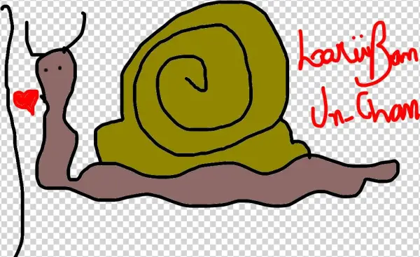 Caracol - Drawing