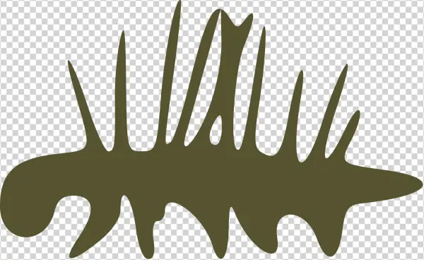 Open - Cambrian Png