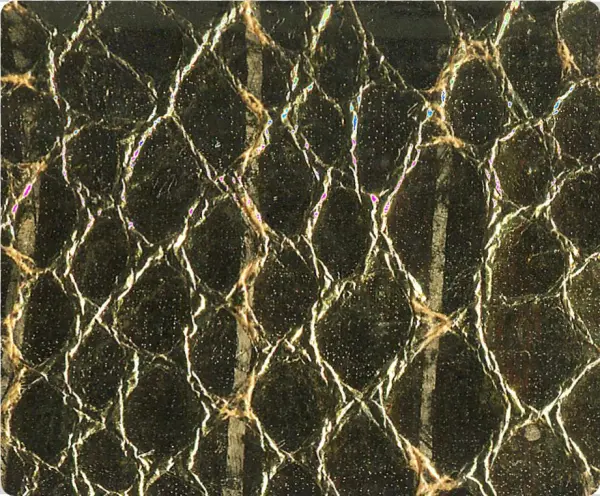 Quick View - Snake