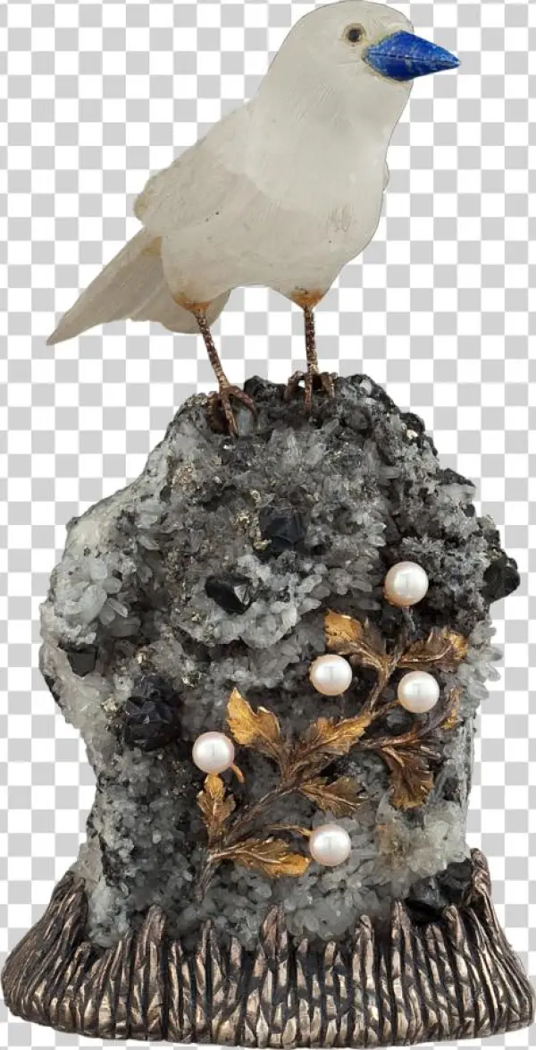 Seagulls - Shorebird