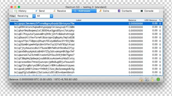 Segwit Electrum 3