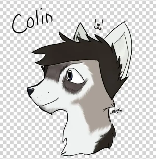 Colinn - Cartoon