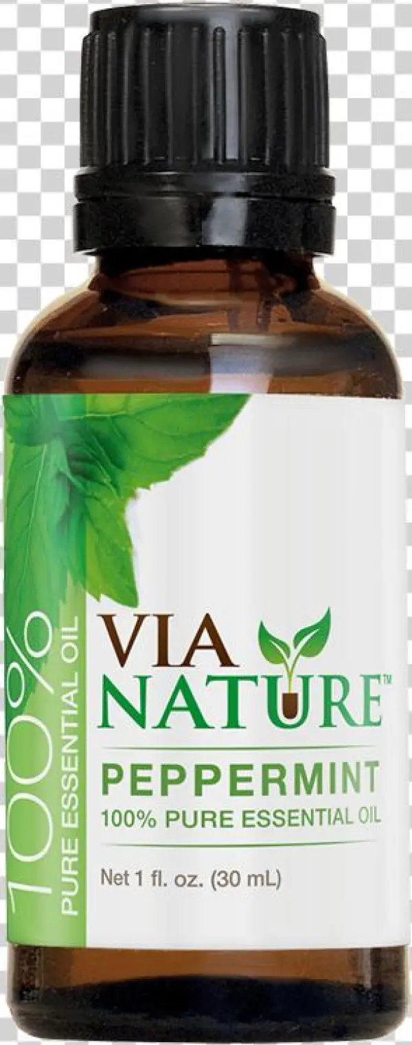 Essential Oil Png