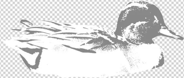 Greenwing - Portable Network Graphics