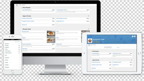 Guacamaya Order Online - Computer Icon