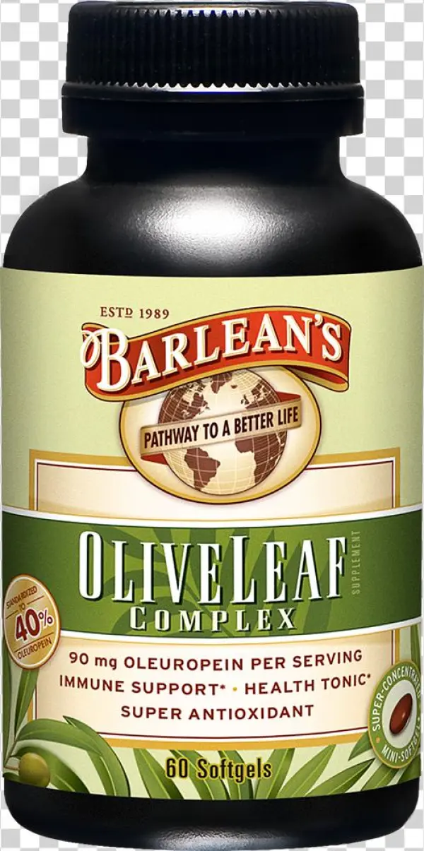 Olive Leaf Png