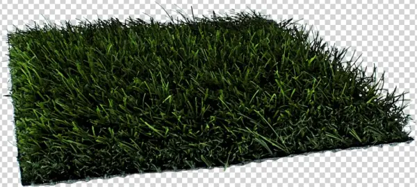 Outdoor Fields - Lawn