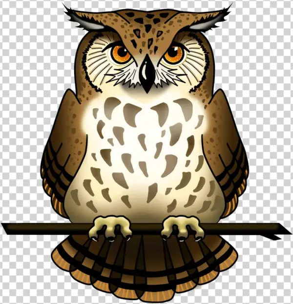 Owl Png