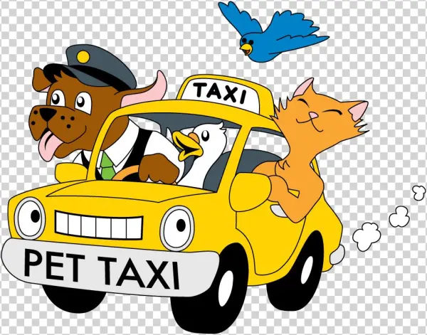 Pet Taxi Service Sitters4critters