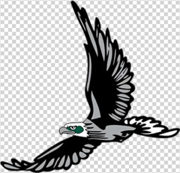 Seahawks Png