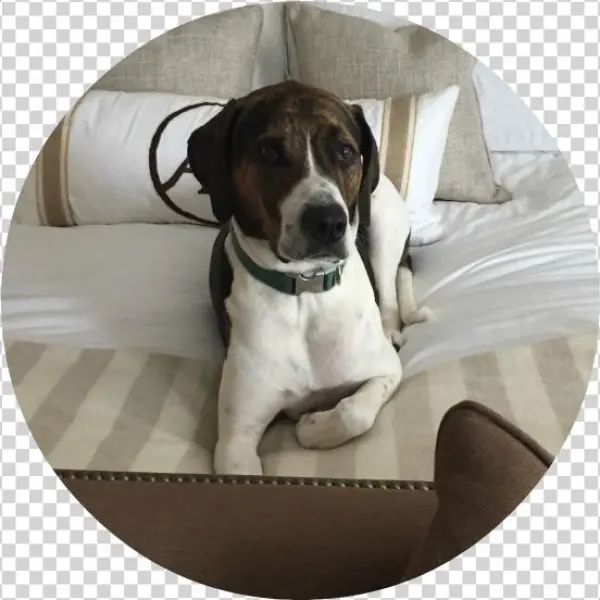 Tucker - Portable Network Graphics