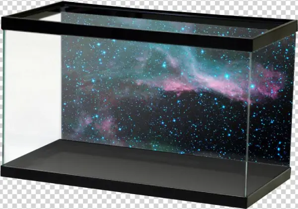 Aquariumvinyl Cyannebulaandstarfield