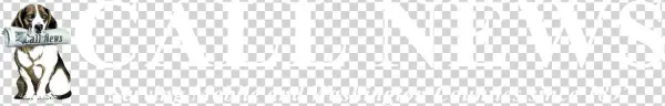 Call News - Wordpress