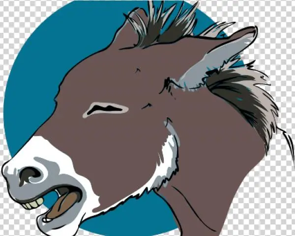 Donkey Head Png