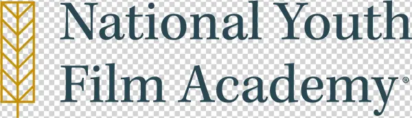 Nyfa - Illinois Consulting Academy