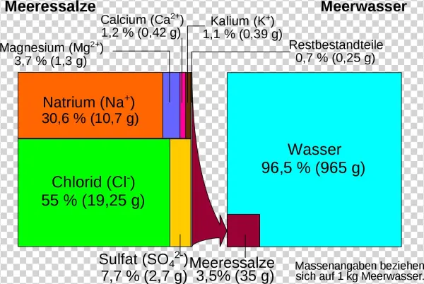 Open - Formel Salzwasser