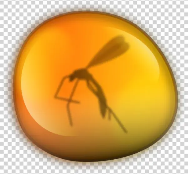 Amber Png