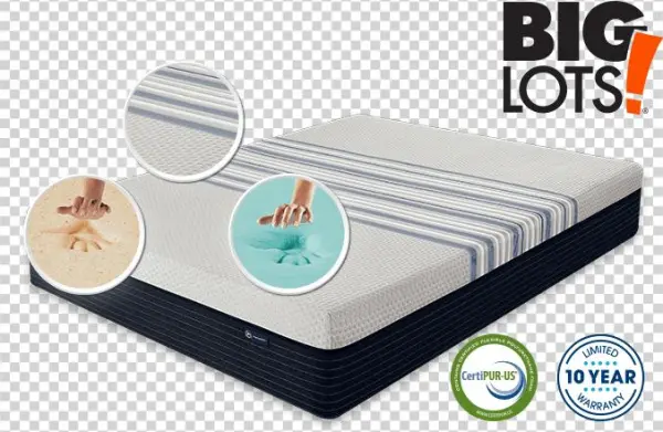 Big Lots Logo Png