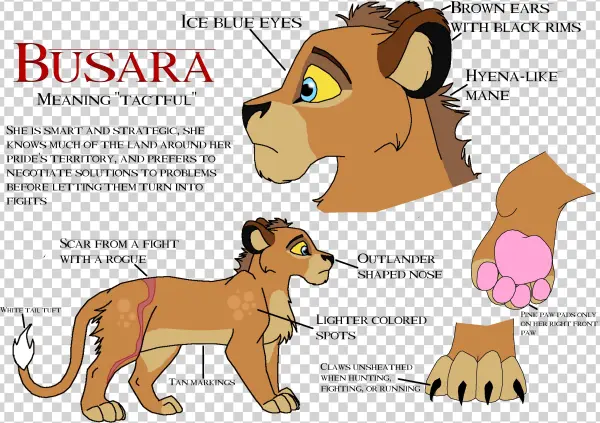 Busara Ref Sheet