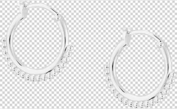 Detail Hoop Earrings Image